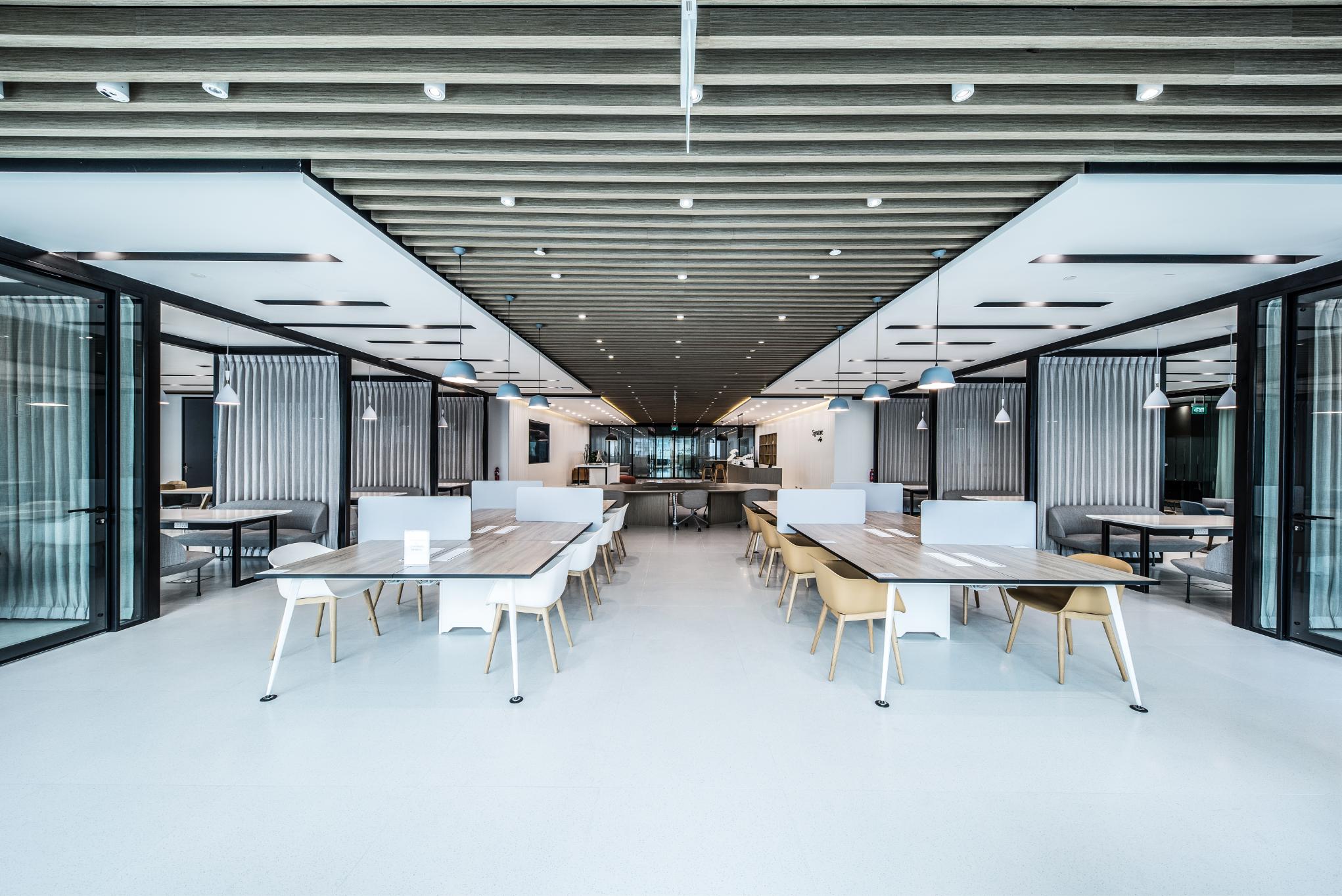 collaborative-desk-area-with-natural-light