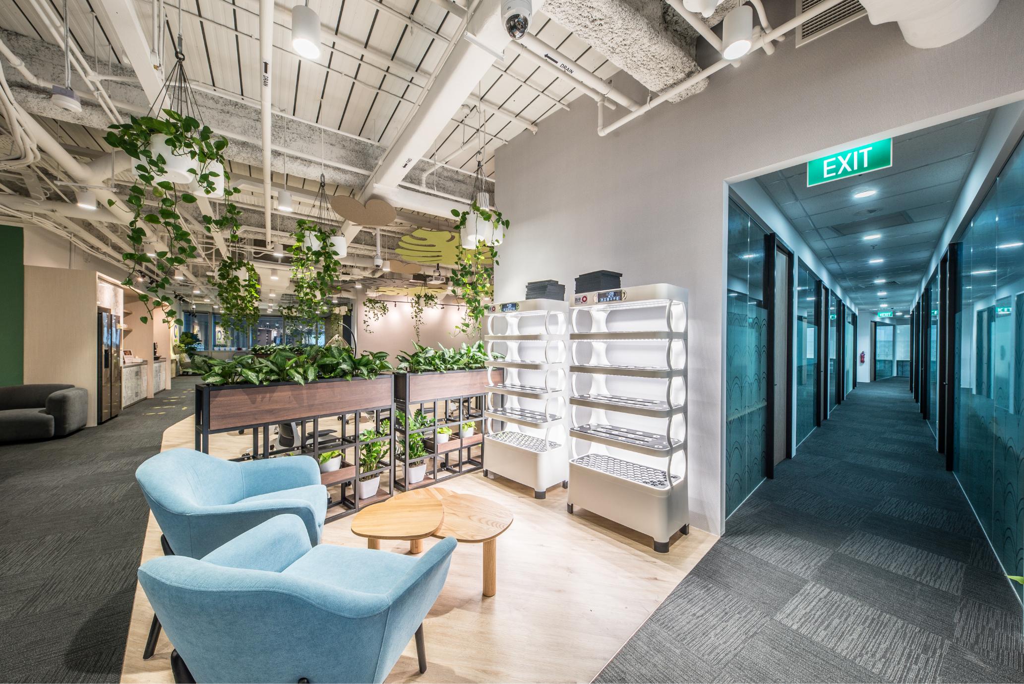 corner-with-grow-light-shelves-and-blue-chairs