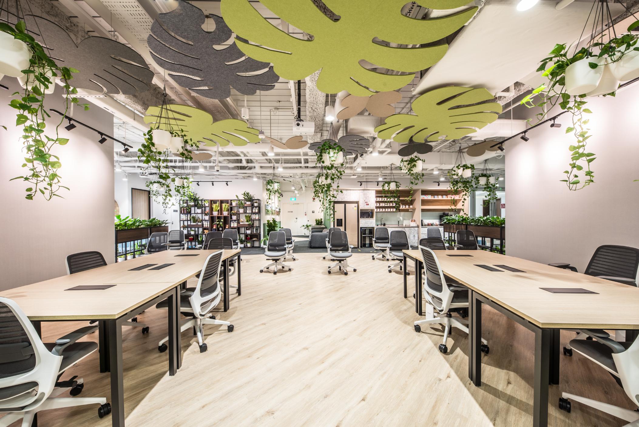 hot-desk-open-area-with-hanging-plants