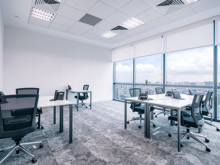 team-office-space-vision-exchange-natural-lighting